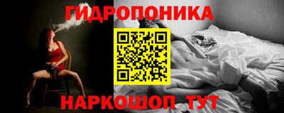 стафф Будённовск