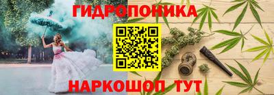 стафф Будённовск