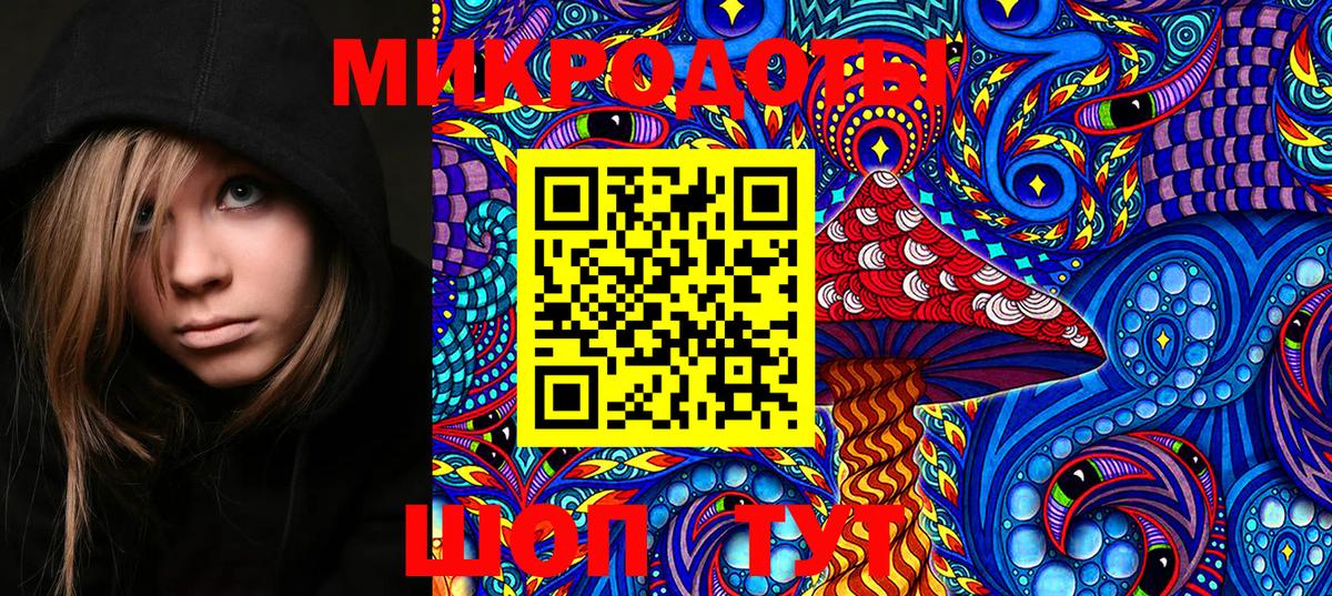 Галлюциногенные грибы Psilocybe Севастополь
