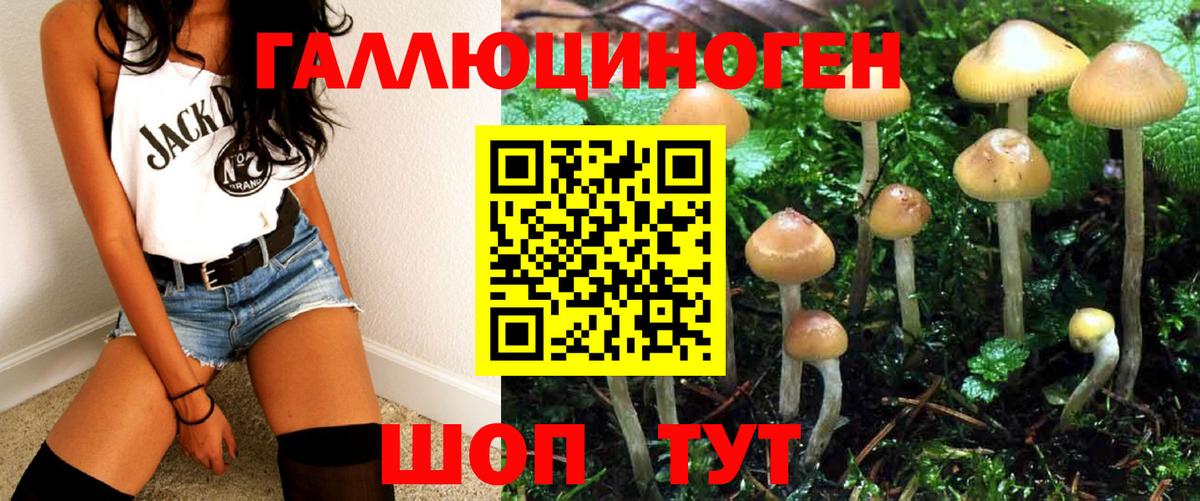Галлюциногенные грибы мицелий  хочу   Севастополь  Вход с VPN 